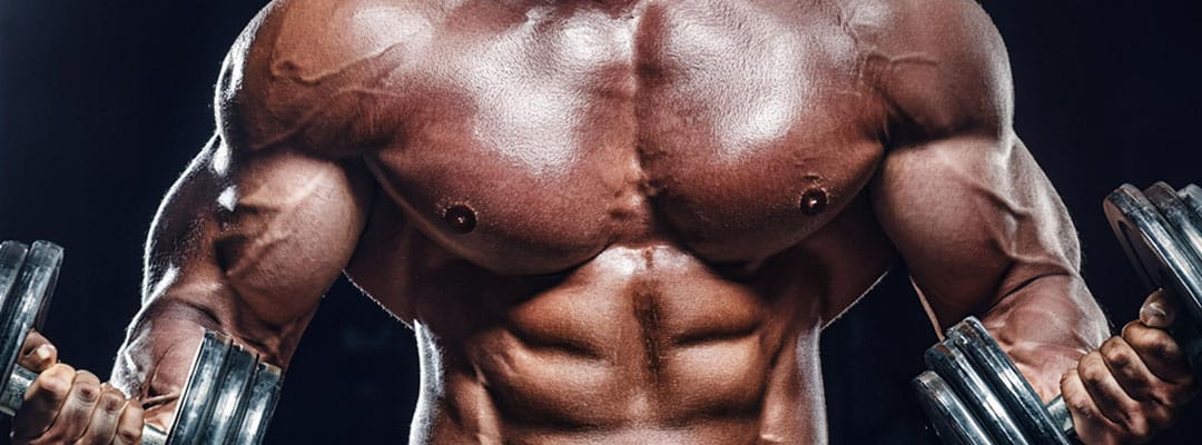 Mastering Correct Squat Form: A Powerlifter’s Essential Guide