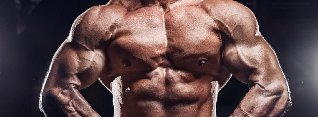 Recent Powerlifting Competitions Reveal Record-Setting Performances