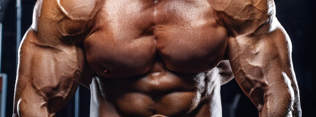 Top Powerlifting Competitions You Can’t Afford to Miss